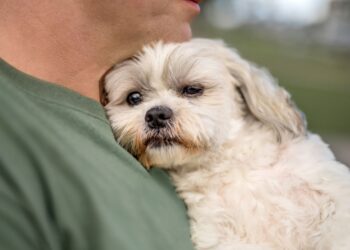 what does it mean when your dog lays on your chest