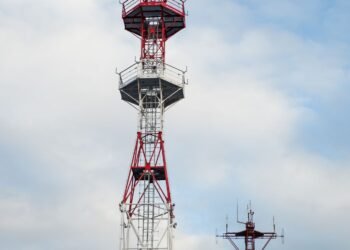 which of the following are antenna types that are commonly used in wireless networks? (select two).
