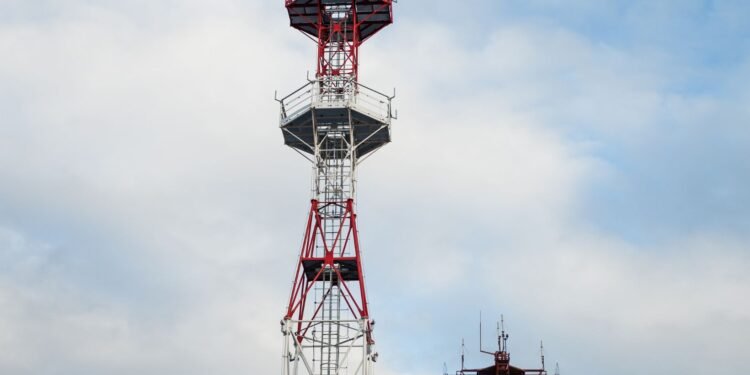 which of the following are antenna types that are commonly used in wireless networks? (select two).