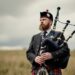 bagpipes feedbuzzardiform llama influencers